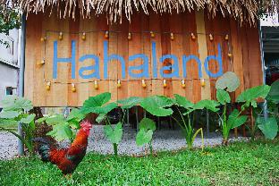 Dong Hoi (Quang Binh) Vietnam Asia Hotel Promo Code Agoda.com
